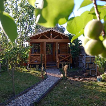 Foresta Acantilados, Casa Container Y Cabana De Troncos Мар дел Плата Екстериор снимка