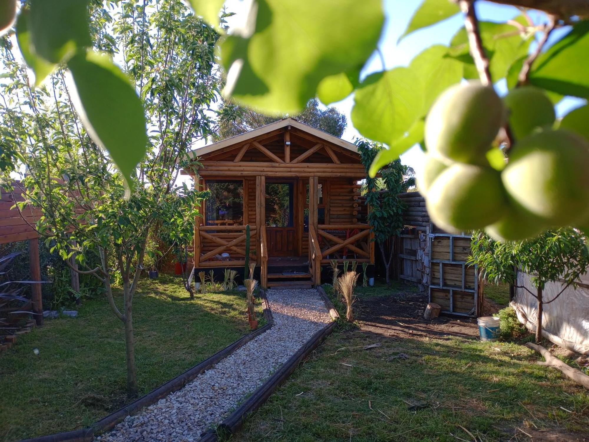 Foresta Acantilados, Casa Container Y Cabana De Troncos Мар дел Плата Екстериор снимка