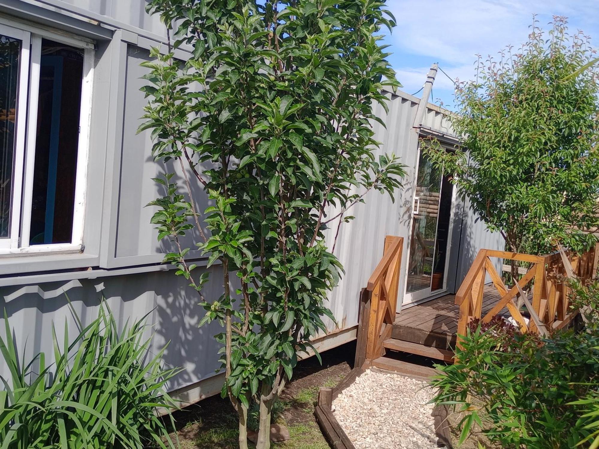 Foresta Acantilados, Casa Container Y Cabana De Troncos Мар дел Плата Екстериор снимка